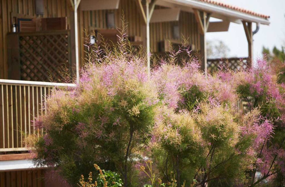 Hotel Des Dunes เลเฌอ-แกป-เฟร์เร ภายนอก รูปภาพ