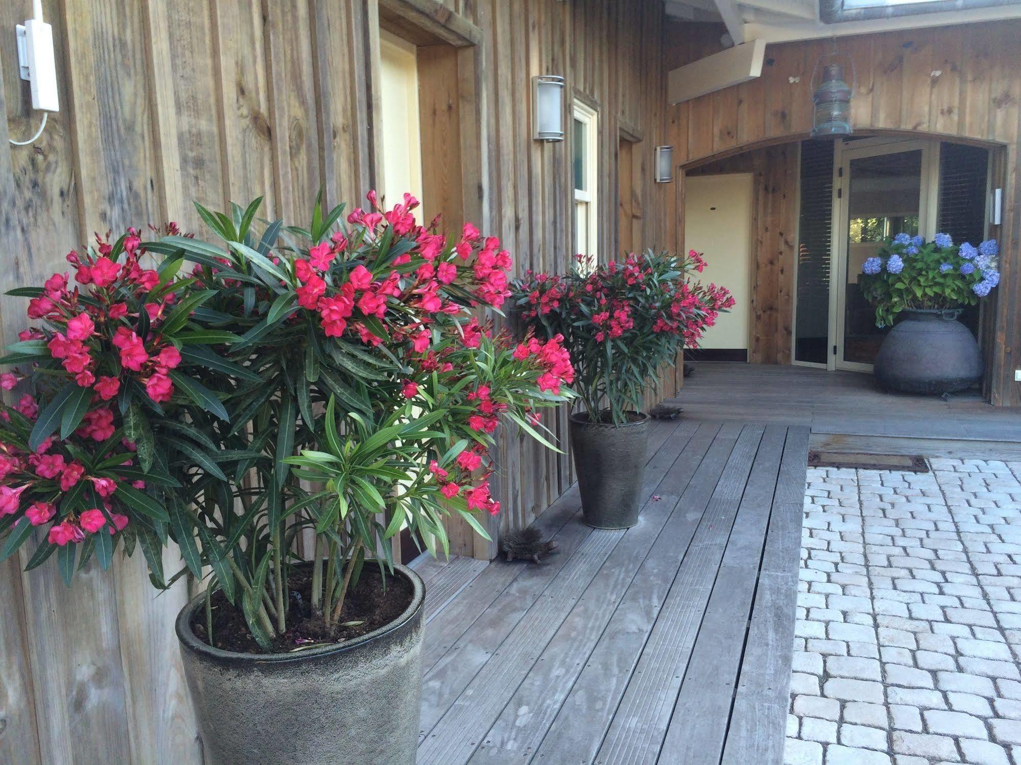 Hotel Des Dunes เลเฌอ-แกป-เฟร์เร ภายนอก รูปภาพ